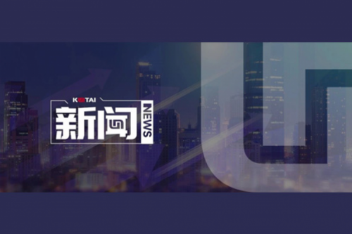 AI革新加速，BB贝博艾弗森数码2024全年毛利额营收逆势双升